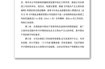 共青團(tuán)工作制度匯編（23萬字，集團(tuán)公司企業(yè)2020年版）（團(tuán)支部制度匯編）