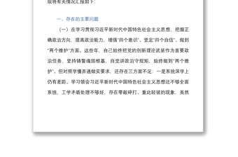 公安局党委班子成员2020年度民主生活会五个方面对照检查材料