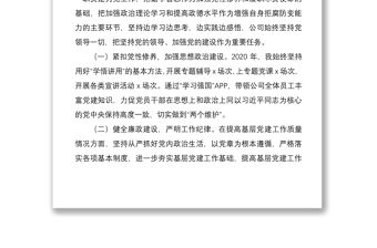 旅游公司黨支部書記、董事長2020年度述職報告