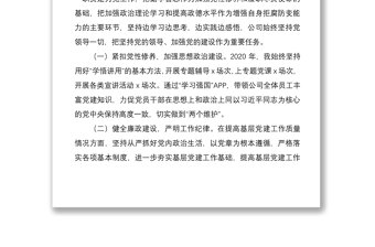 旅游公司黨支部書記、董事長2020年度述職報告