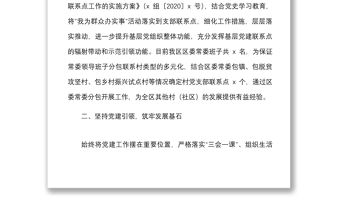 2021區委常委班子基層黨支部工作聯系點情況總結范文黨建聯系點工作匯報報告