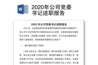 2020年公司黨委書記述職報告