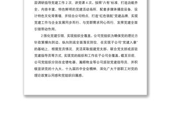 2020年公司黨委書記述職報告