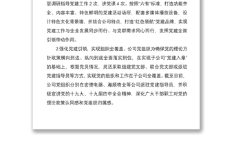 2020年公司黨委書記述職報告