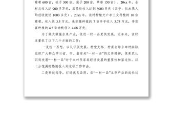 2021某村“一村一品”建設經驗介紹