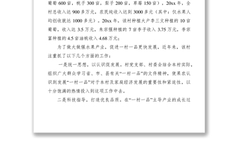 2021某村“一村一品”建設(shè)經(jīng)驗(yàn)介紹