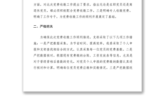 2021黨支部自查自糾情況報(bào)告