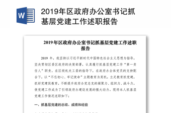 2019年區(qū)政府辦公室書(shū)記抓基層黨建工作述職報(bào)告