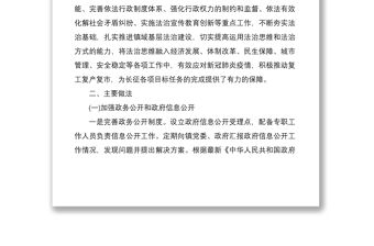 2020年度鄉鎮法治政府建設情況報告