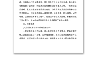 2020年度鄉(xiāng)鎮(zhèn)法治政府建設(shè)情況報告
