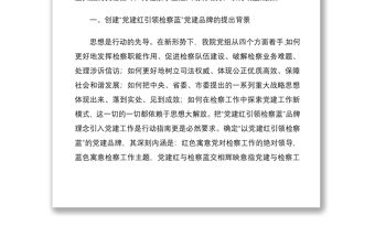 2021“黨建紅引領檢察藍”黨建品牌總結材料