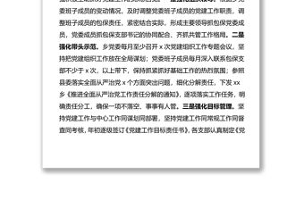 鄉鎮黨委推進全面從嚴治黨工作情況匯報