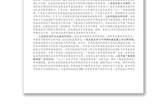 X紀委監委黨史學習教育開展情況匯報