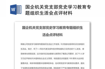 國企機關黨支部黨史學習教育專題組織生活會點評材料