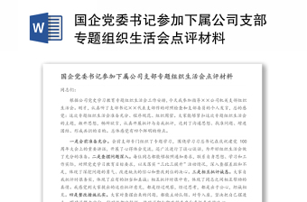 國企黨委書記參加下屬公司支部專題組織生活會點評材料