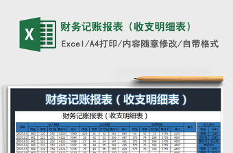 2022财务项目费用收支明细表