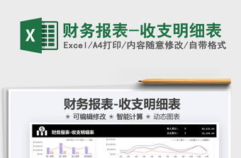 2021財(cái)務(wù)報(bào)表-收支明細(xì)表免費(fèi)下載