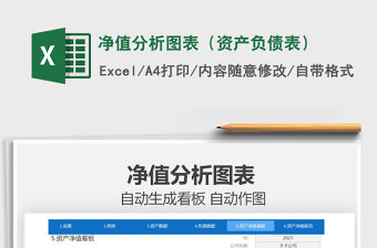 2021凈值分析圖表（資產(chǎn)負(fù)債表）免費(fèi)下載