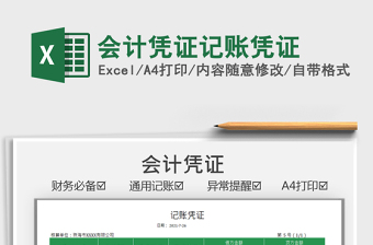 政府会计制度记账EXCEL