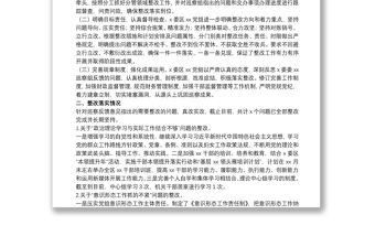 20xx年黨組書記關于巡察整改進展情況自查報告范文