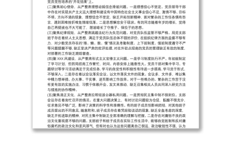 黨支部班子講忠誠嚴(yán)紀(jì)律立政德專題警示教育組織生活會對照檢查材料