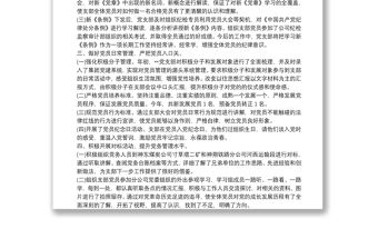 XX公司黨支部20xx年工作計(jì)劃