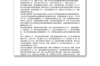 總結公司紀檢監察工作的亮點和特色3篇