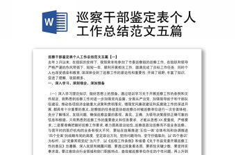 巡察干部鑒定表個人工作總結范文五篇