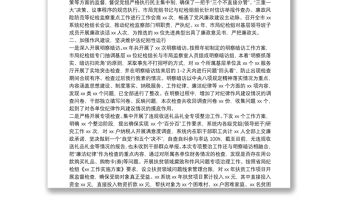 某局紀檢組年度履行監督執紀問責情況報告