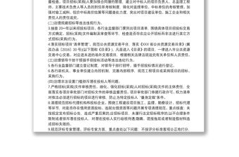 開展全縣招投標領域專項整治活動的工作方案3篇