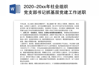 2022年社会组织综合党委述职报告