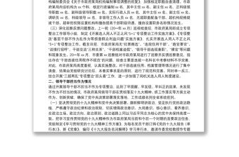 20xx年關(guān)于選人用人巡視檢查及領(lǐng)導干部擔當作為情況的自查匯報范文