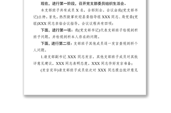 第二批主题教育基层党支部组织生活会和开展民主评议党员会议主持词