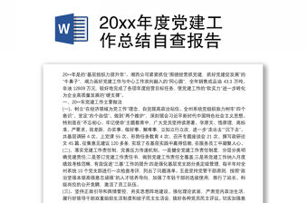 20xx年度黨建工作總結自查報告