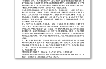 20xx年度黨建工作總結(jié)自查報(bào)告
