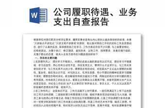 公司履職待遇、業務支出自查報告