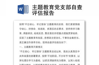 主題教育黨支部自查評估報告