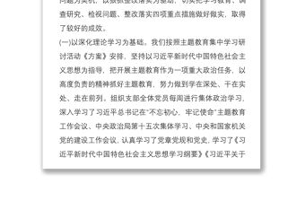 主題教育黨支部自查評估報告