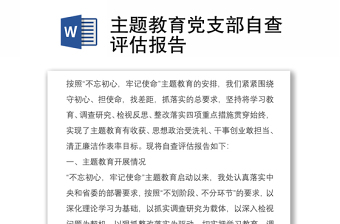 主題教育黨支部自查評(píng)估報(bào)告