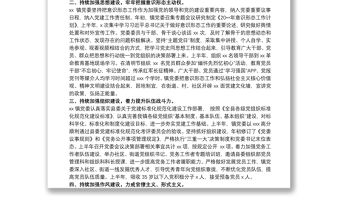 20xx年上半年黨風廉政建設工作總結及下步工作思路范文