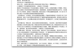 紅十字會基層組織建設工作方案