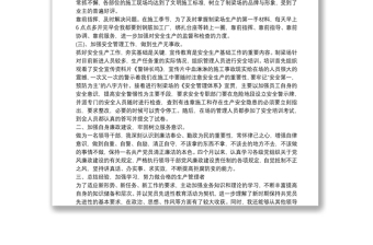 安全總監(jiān)述職報告范文