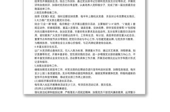 黨支部標準化規范化建設自查報告范文