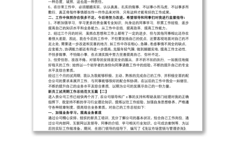 新員工試用期工作總結范文五篇