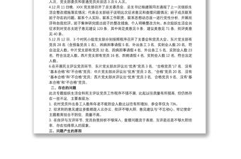 主題教育專題組織生活會和民主評議黨員情況報告