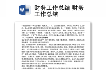財務(wù)工作總結(jié) 財務(wù)工作總結(jié)