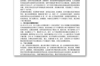關于審計問題整改落實情況的報告