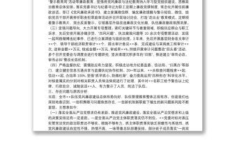 關于20xx年巡察組的紀檢監察工作專題報告范文