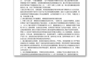 基層黨建問題自查整改報告