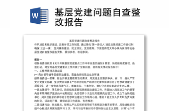 基層黨建問題自查整改報告
